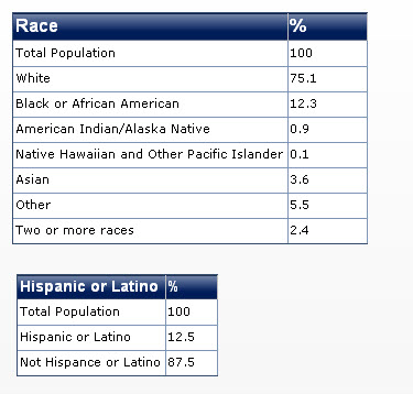 2000 united states race diversity