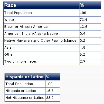 2010 united states race diversity