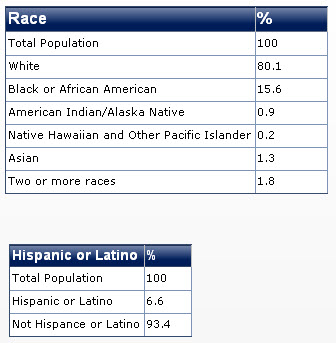 2011 arkansas race diversity