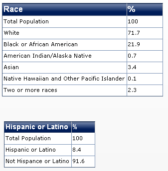 2011 delaware race diversity