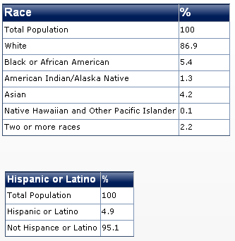 2011 minnesota race diversity