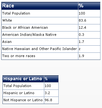 2011 ohio race diversity