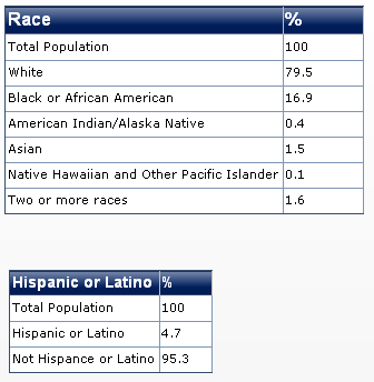 2011 tennessee race diversity