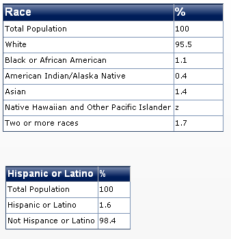 2011 vermont race diversity